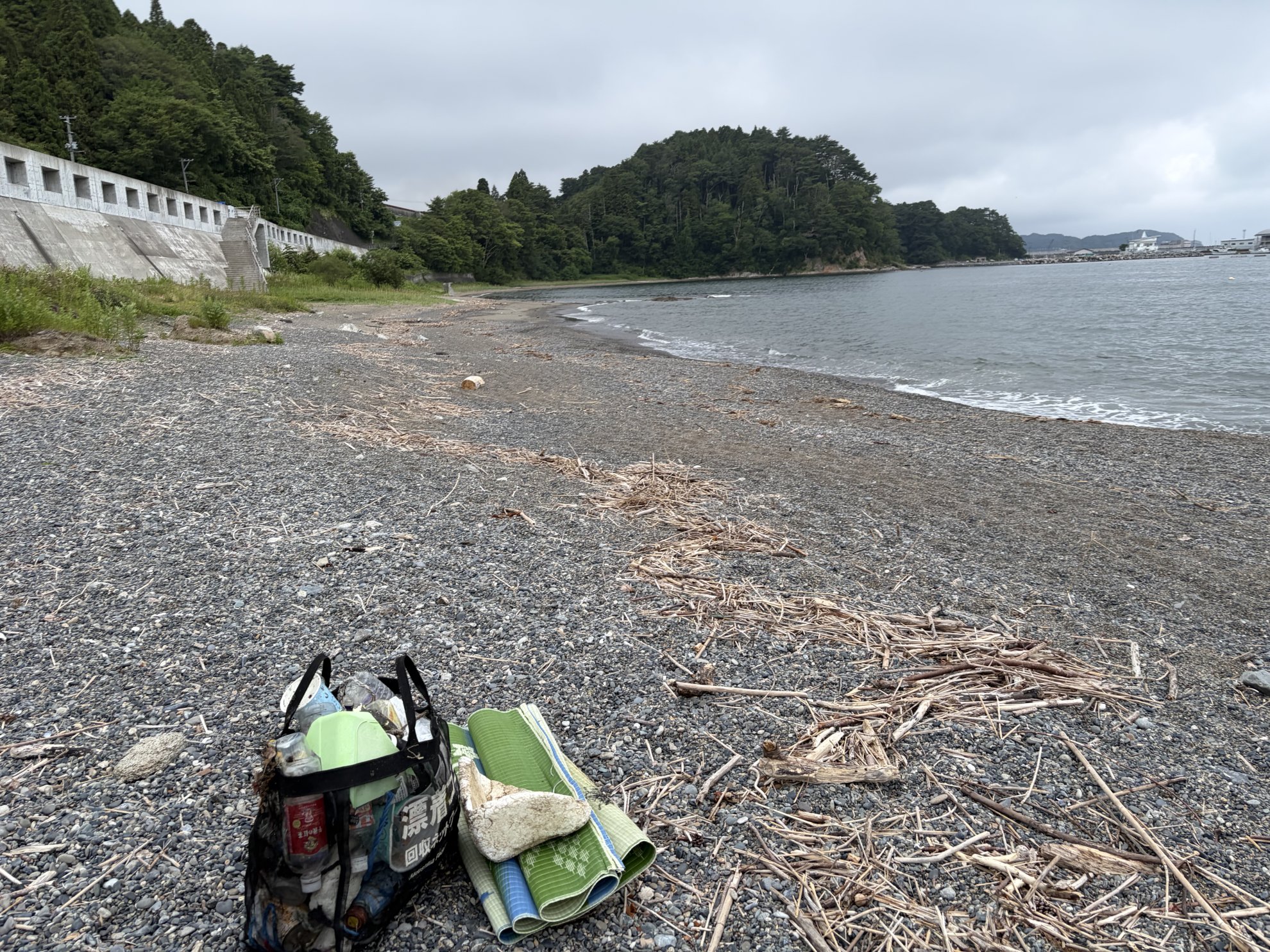 藤の川