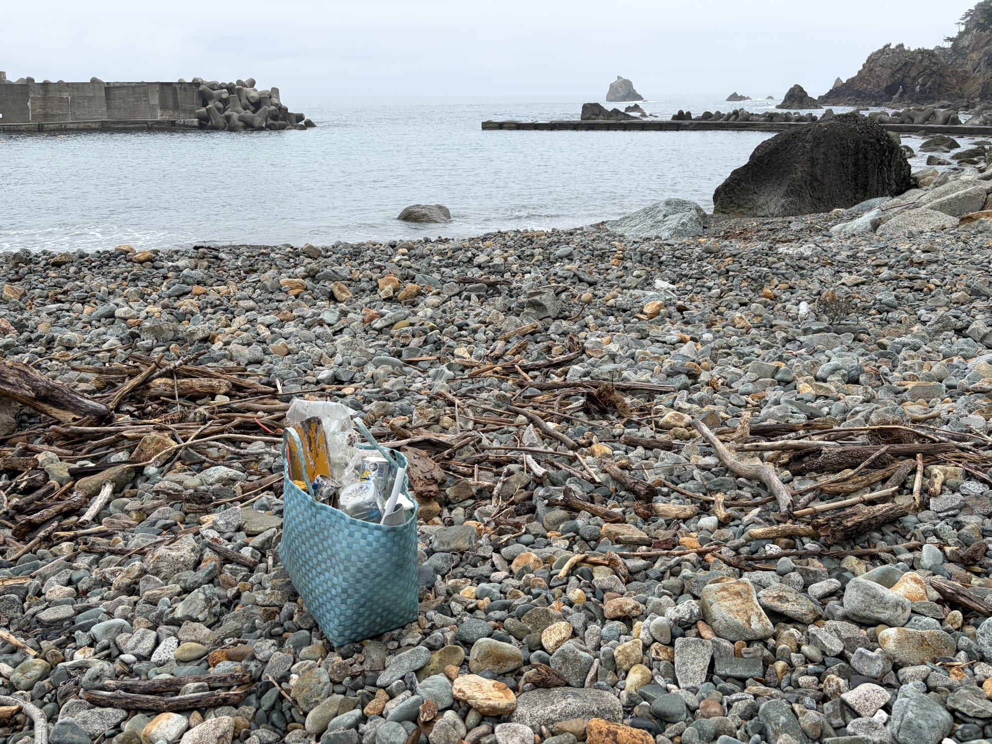 にどい浜
