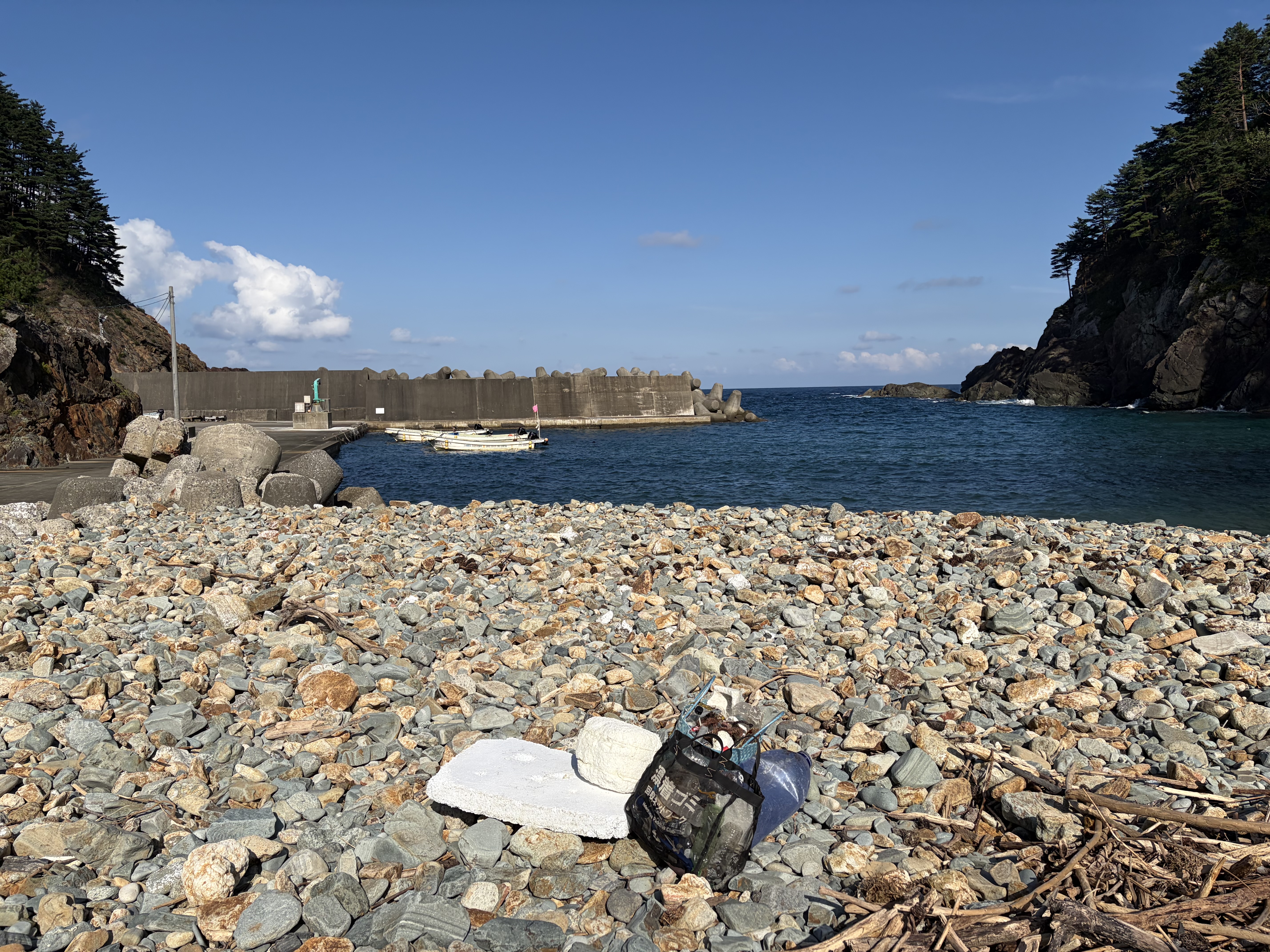 水沢
