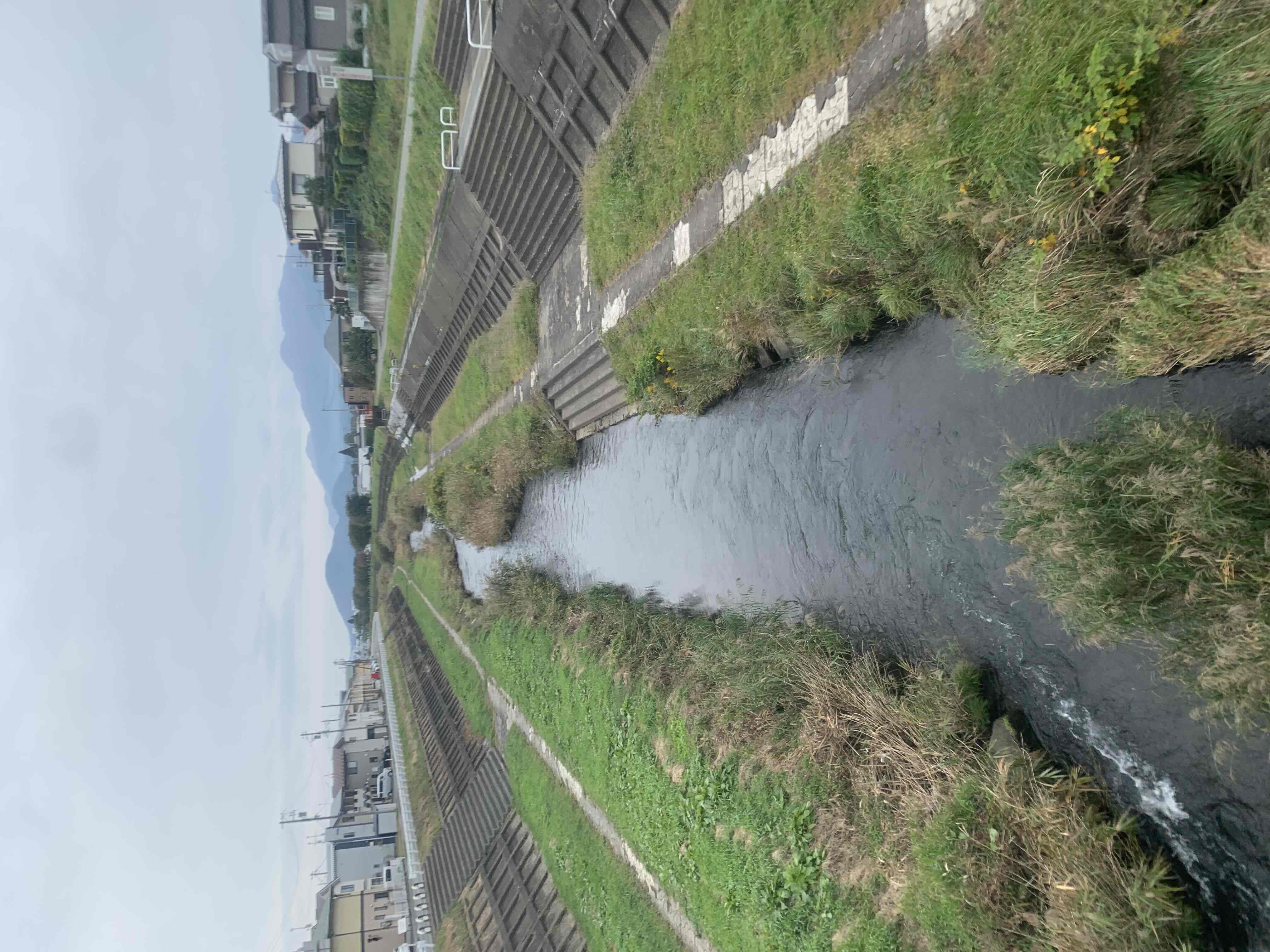 10月24日の諸葛川でゴミ退治